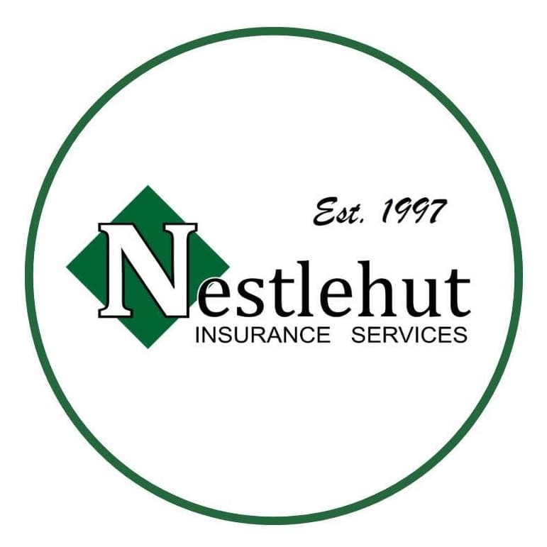 Dan Nestlehut